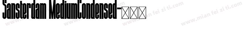 Sansterdam MediumCondensed字体转换